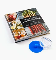 Fermenting for Beginners