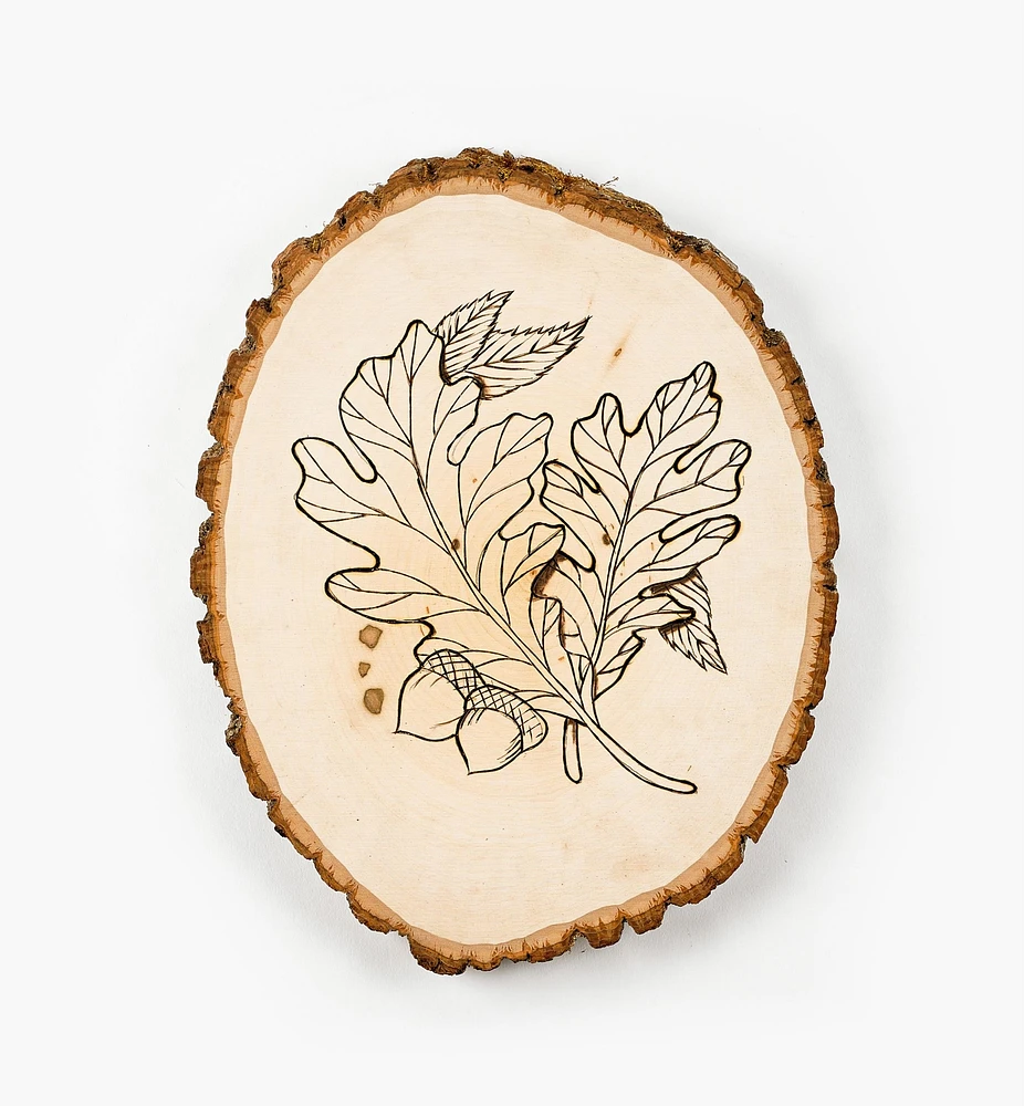Live-Edge Oval Basswood Plaques