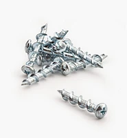 Wall Dog Screws