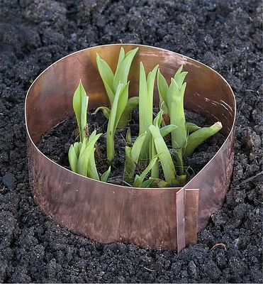 Copper Slug Rings