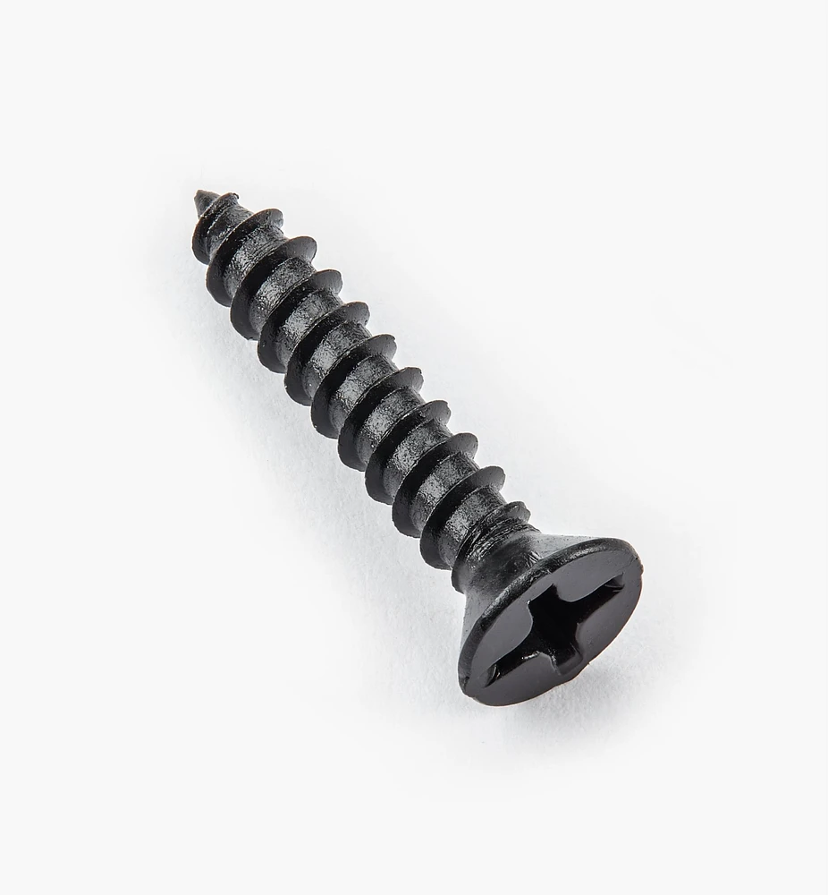 Finished Steel Screws