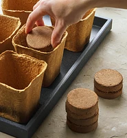 Make It Yourself Herbal Tea Garden Kit