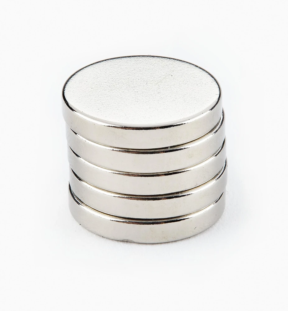 Rare-Earth Circular Magnets