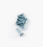 T-Bolts for Veritas T-Slot Tracks (5/16-18 Thread)