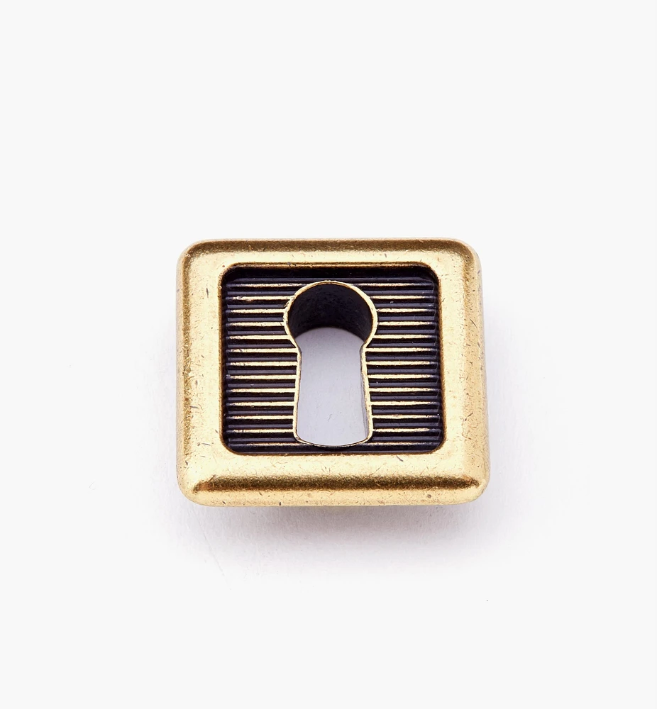 Recess  Square Escutcheon