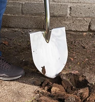 Shovel