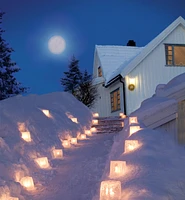 Ice Lantern Mold