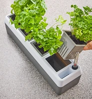 Self-Watering Windowsill Planter