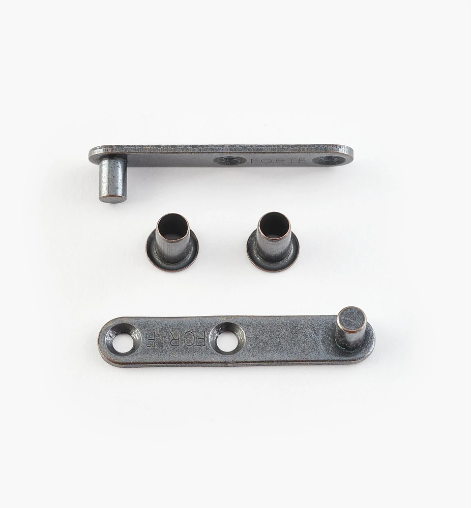 Steel Pivot Hinges