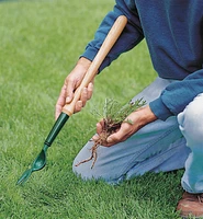 Lee Valley Dandelion Diggers