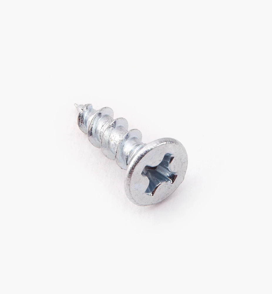 Zinc-Plated Hinge Screws