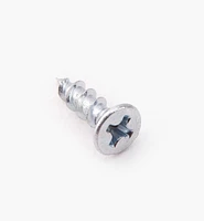 Zinc-Plated Hinge Screws
