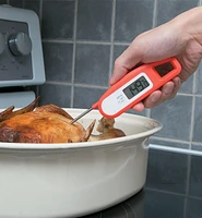 Javelin Instant-Read Thermometer