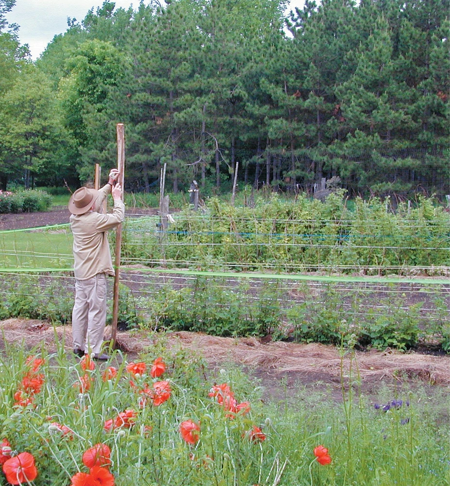 Deer Fence