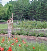 Deer Fence