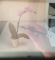 Camera Lucida