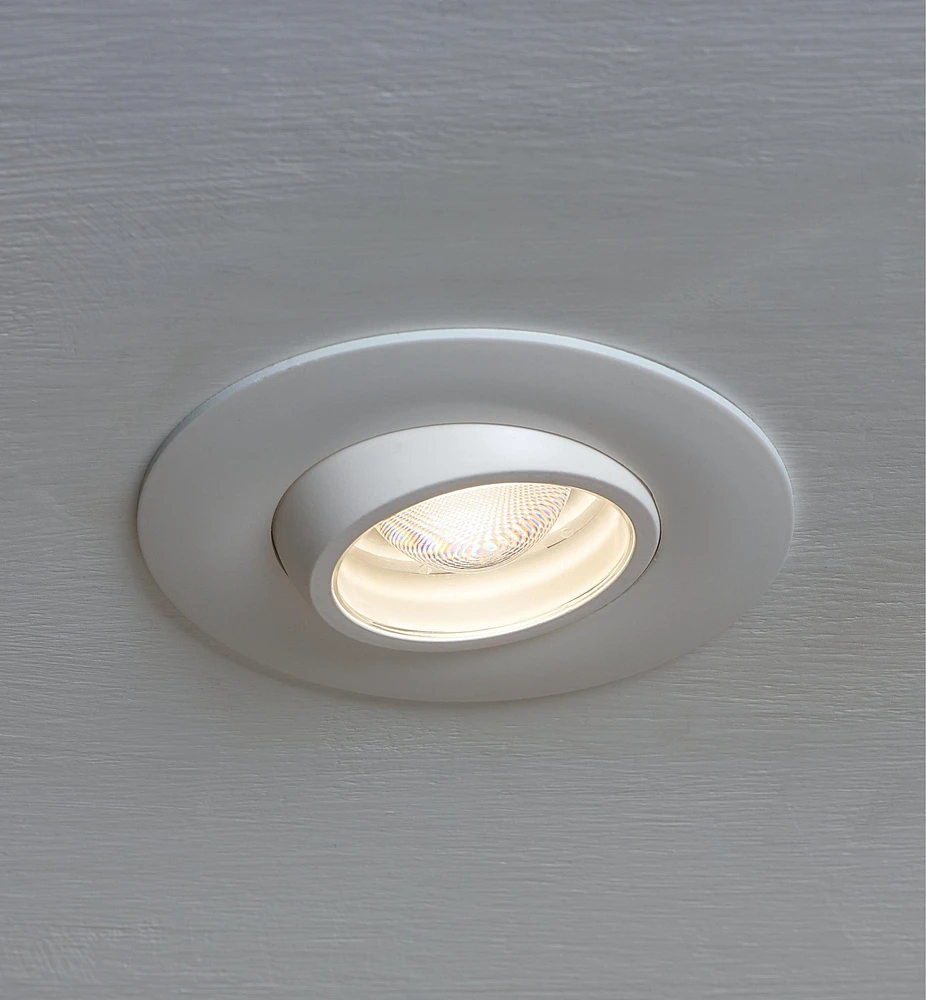 Adjustable-Beam LED Spotlight