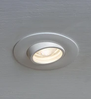 Adjustable-Beam LED Spotlight