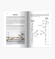 Your Trees: What They Want You to Know