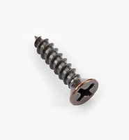 Finished Steel Screws
