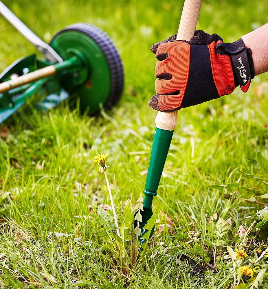 Lee Valley Dandelion Diggers