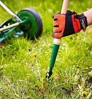 Lee Valley Dandelion Diggers