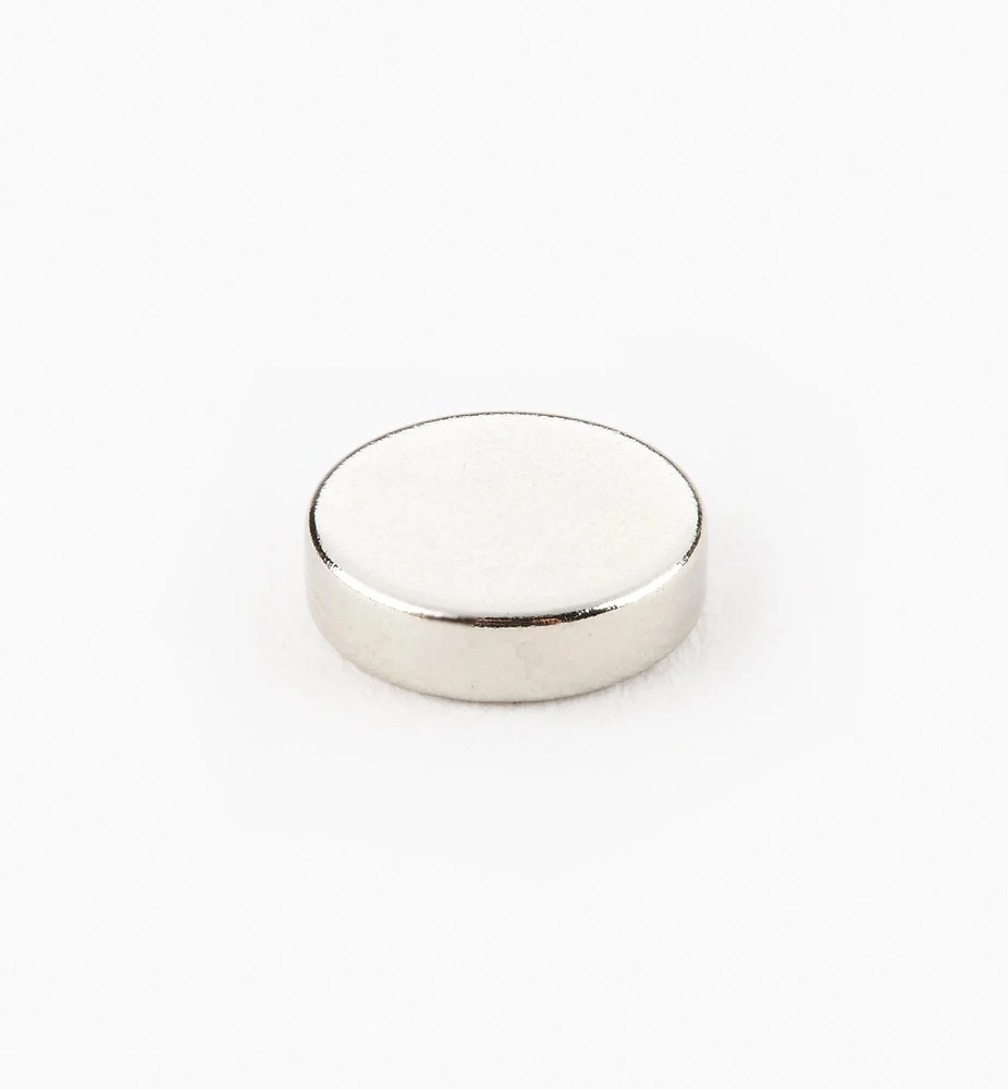 Rare-Earth Circular Magnets