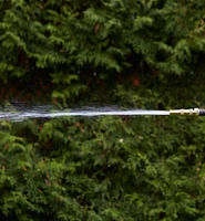 Brass Hose Nozzle