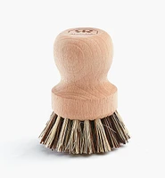 Scouring Brush