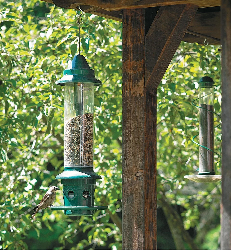 Squirrel Buster Plus Bird Feeder