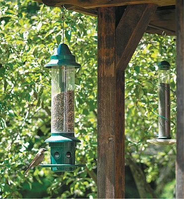 Squirrel Buster Plus Bird Feeder