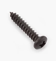Finished Steel Screws