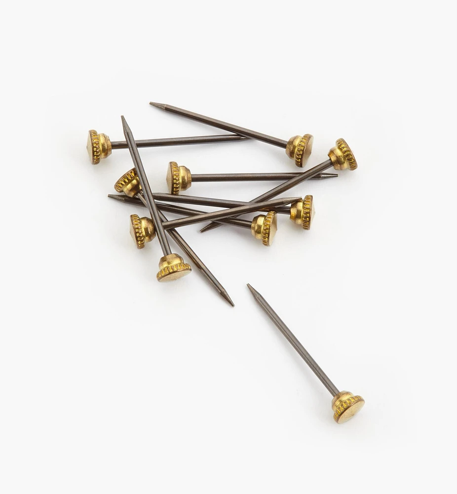 European Picture Pins