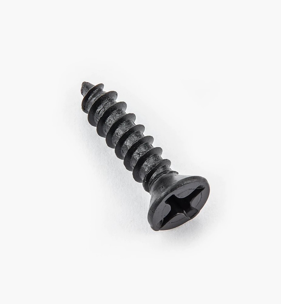Finished Steel Screws