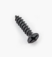 Finished Steel Screws