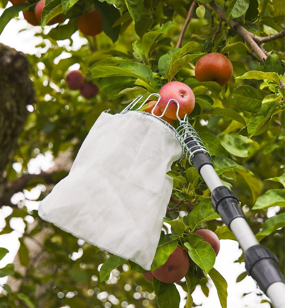 Fruit Picker