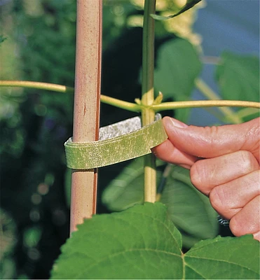 VELCRO® Plant Tie