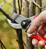 Felco #2 Classic Pruner