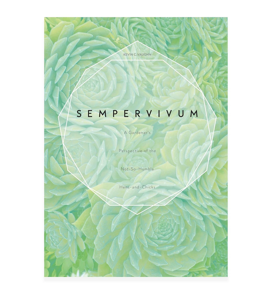 Sempervivum