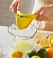 Lemon & Lime Juicer