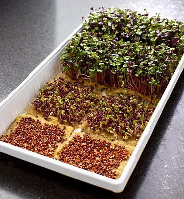 Hemp-Fiber Grow Mats