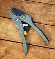 Ratcheting Hand Pruner