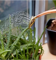 Haws Copper Watering Can