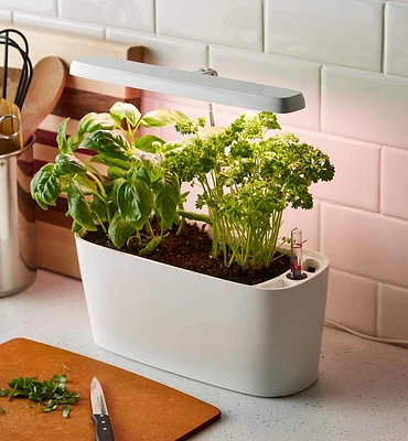 Grow Light & Self-Watering Planter Set