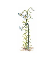 Stem Supports