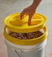 Gamma Seal Lid