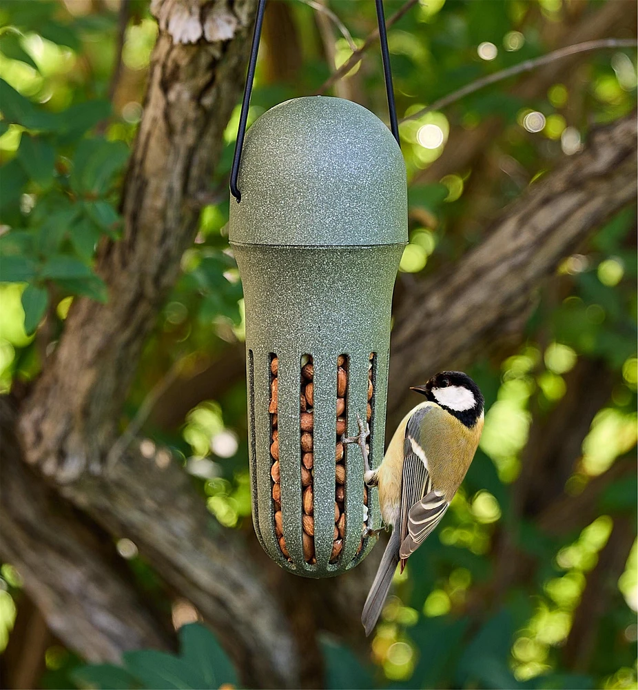 Peanut Bird Feeder