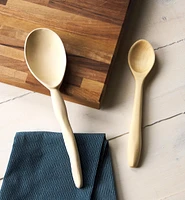 Make It Yourself Spoon Carving Kit