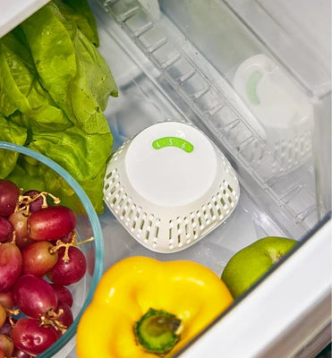 Crisper Insert