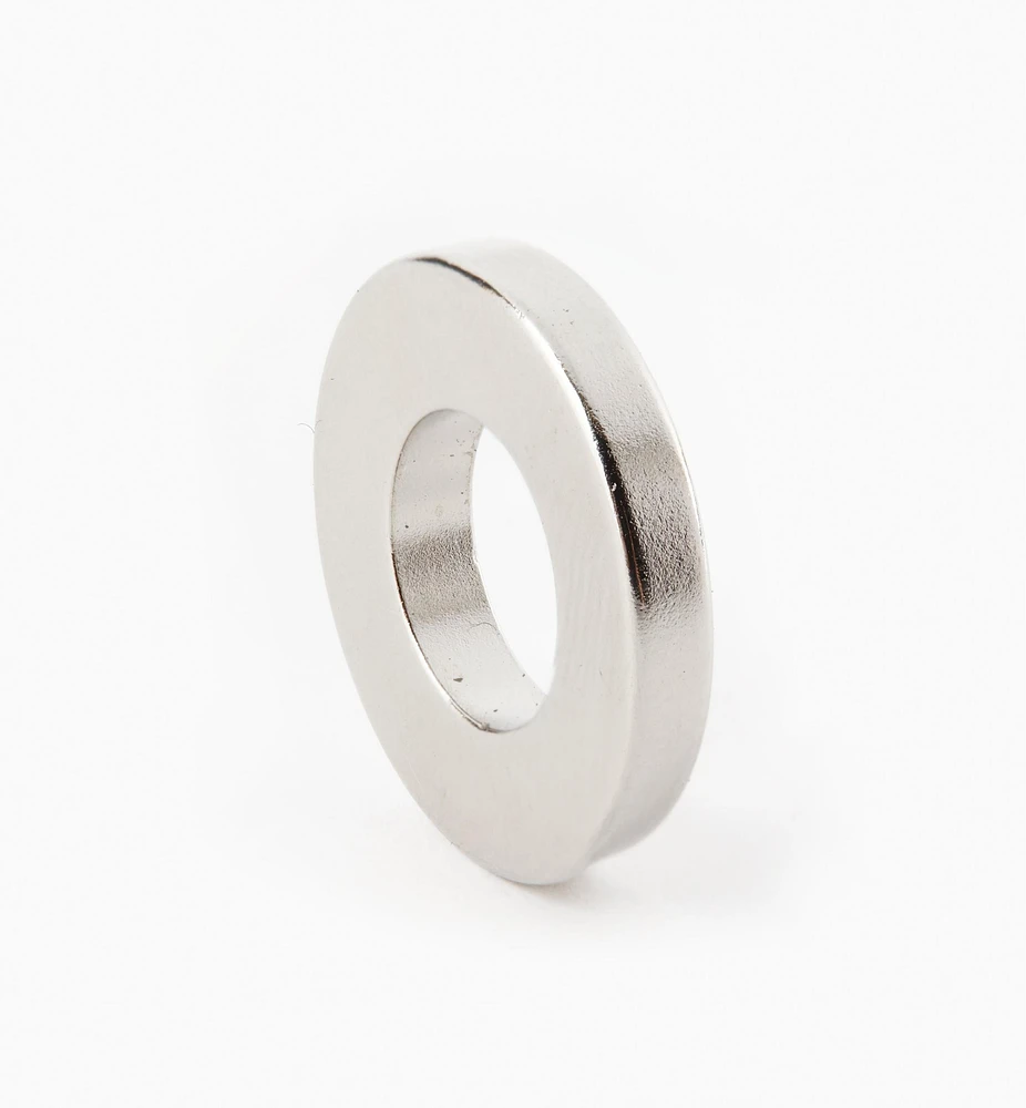 Rare-Earth Ring Magnets